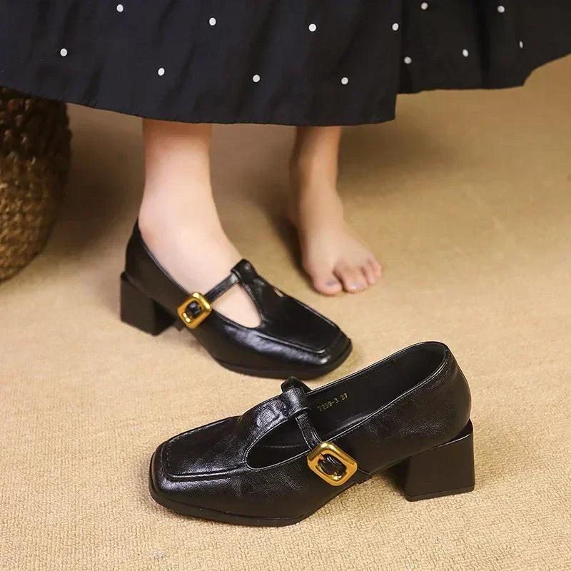Stylish Leather Mary Jane Pumps for Women with T Strap Square Toe Block Heel Vintage Style