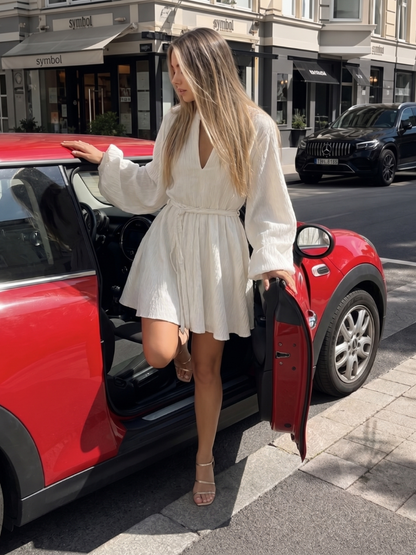 Women V Neck Long Sleeve Mini Dress