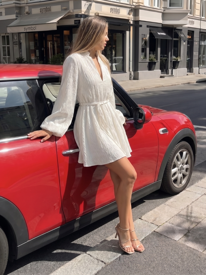 Women V Neck Long Sleeve Mini Dress