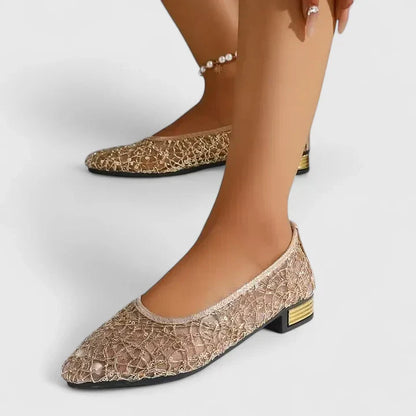 Elegant Lace Mesh Ballet Flat for Women with Pointed Toe Sequin Embellished Block Heel Style